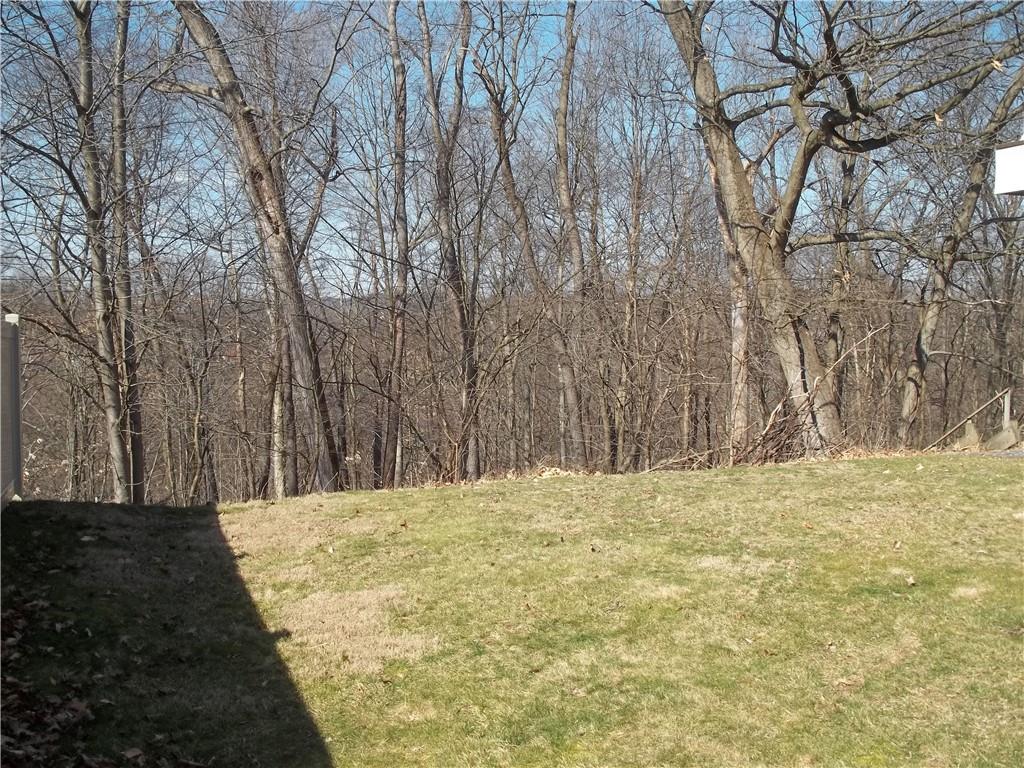 374 Partridge Run Road Gibsonia, PA 15044 - Photo 20 of 23 Gallery Image 20
