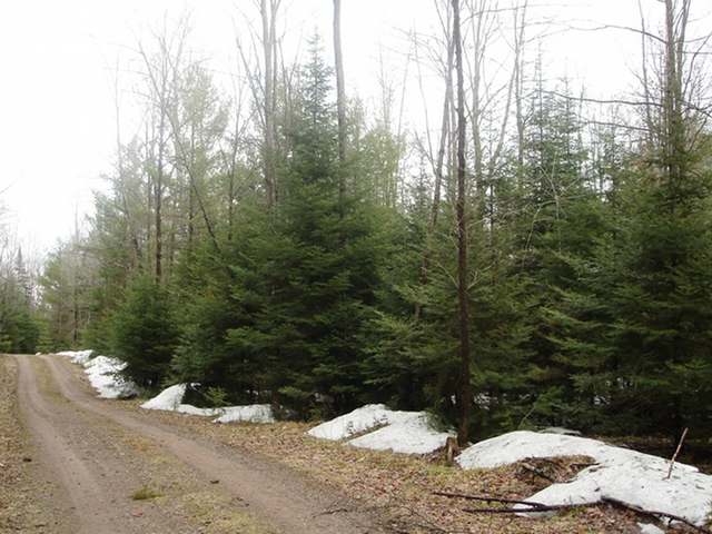 8715 West Duxbury Road Tomahawk, WI 54487 - Photo 10 of 13 Gallery Image 10