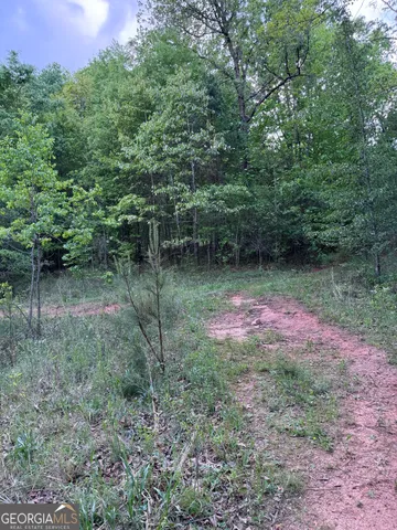 $2,900,000 | 668 Brookdale Road, Toccoa, GA 30577