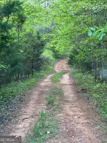 $2,900,000 | 668 Brookdale Road, Toccoa, GA 30577