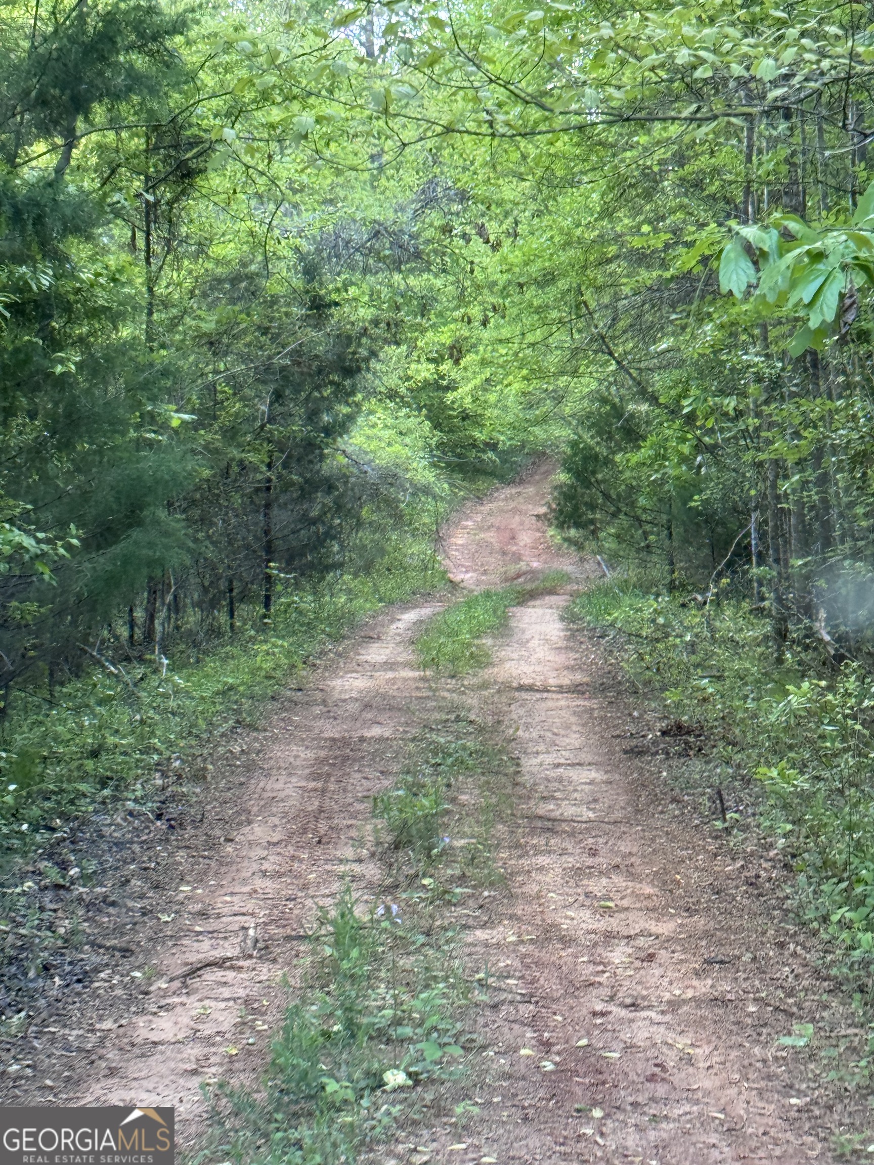 637 Brookdale Road Toccoa, GA 30577 - Photo 2 of 10