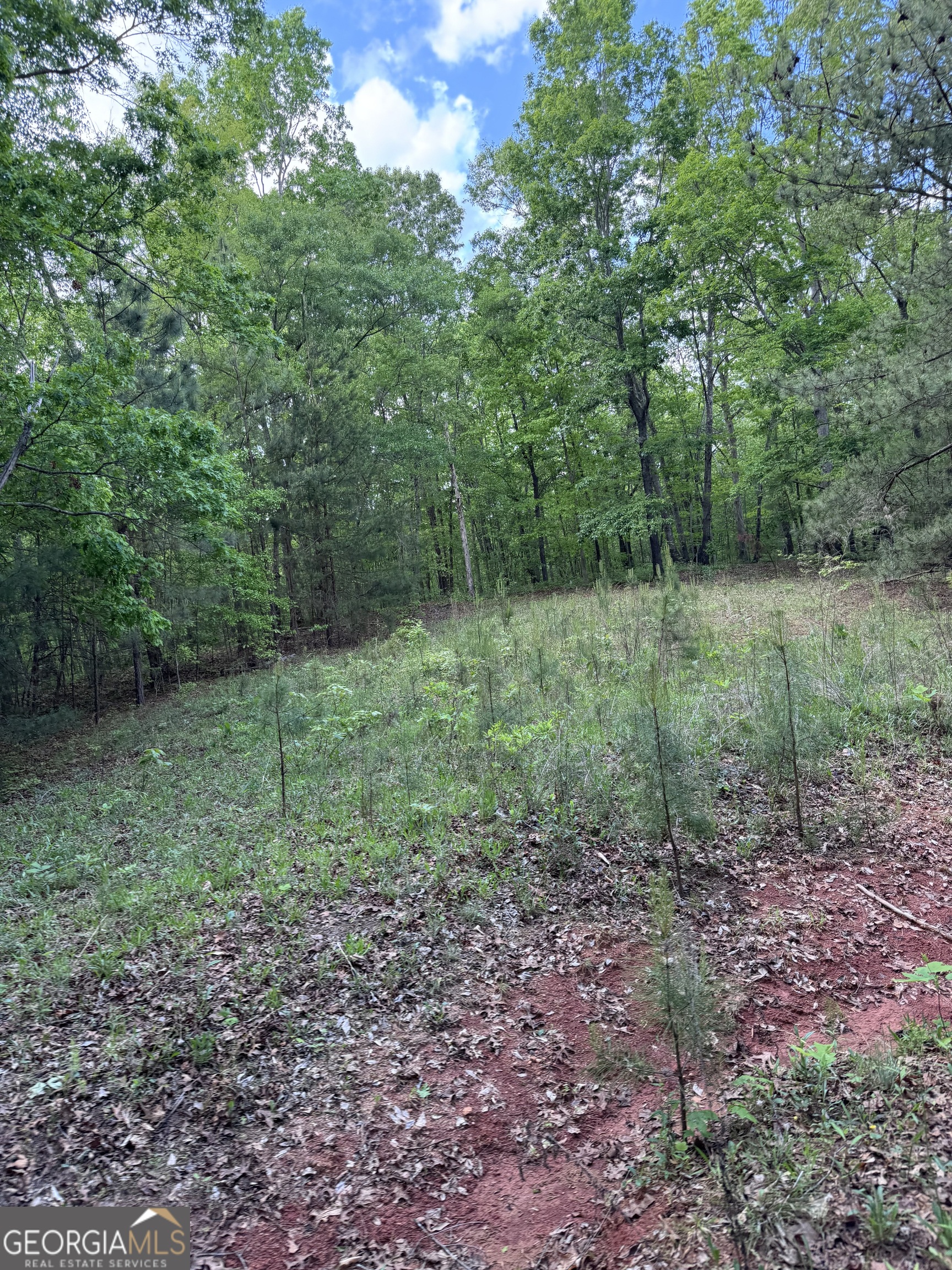 637 Brookdale Road Toccoa, GA 30577 - Photo 3 of 10