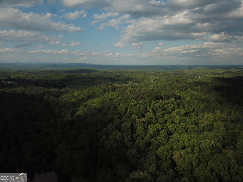 637 Brookdale Road Toccoa, GA 30577 - Photo 4 of 10