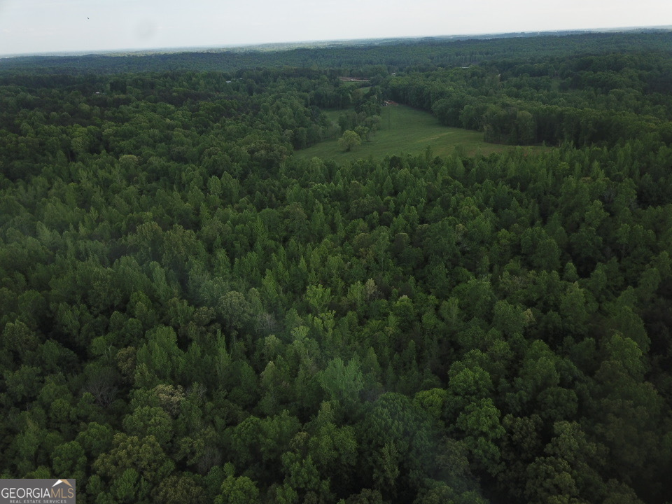 637 Brookdale Road Toccoa, GA 30577 - Photo 5 of 10
