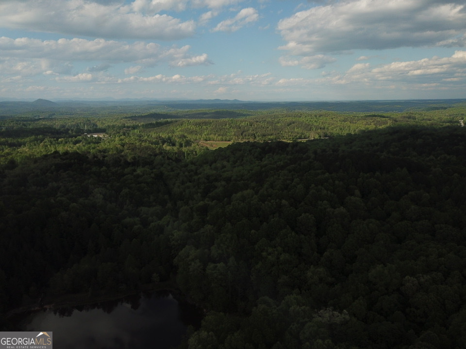 637 Brookdale Road Toccoa, GA 30577 - Photo 8 of 10