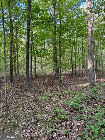 $2,900,000 | 668 Brookdale Road, Toccoa, GA 30577