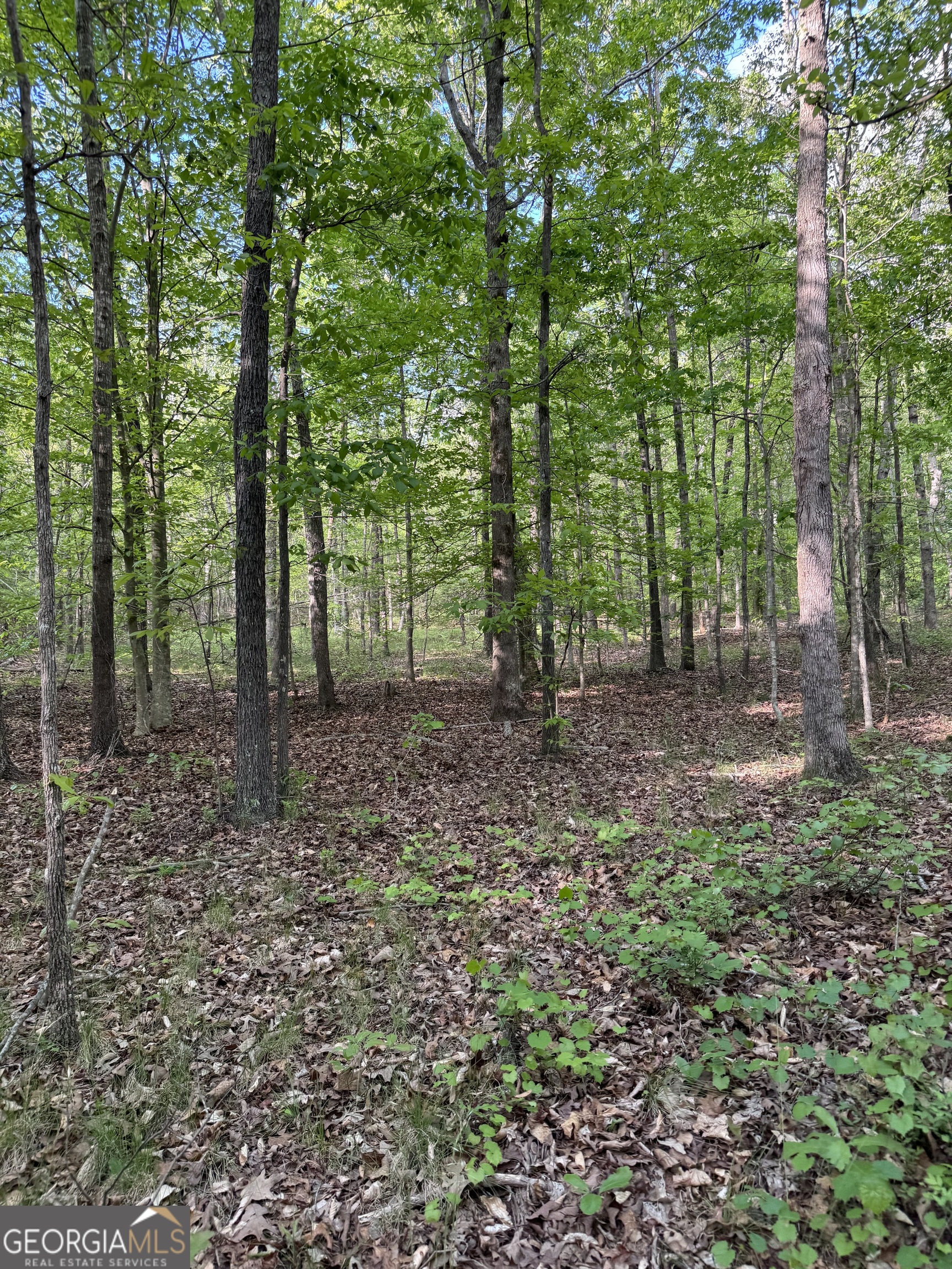 637 Brookdale Road Toccoa, GA 30577 - Photo 9 of 10