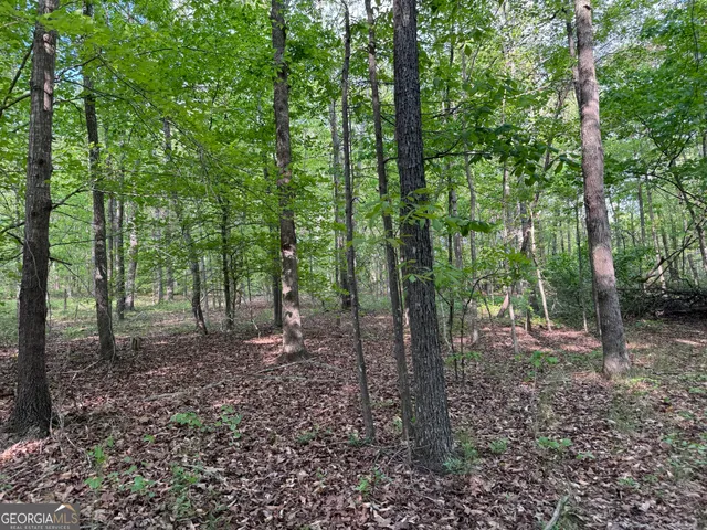 $2,900,000 | 668 Brookdale Road, Toccoa, GA 30577