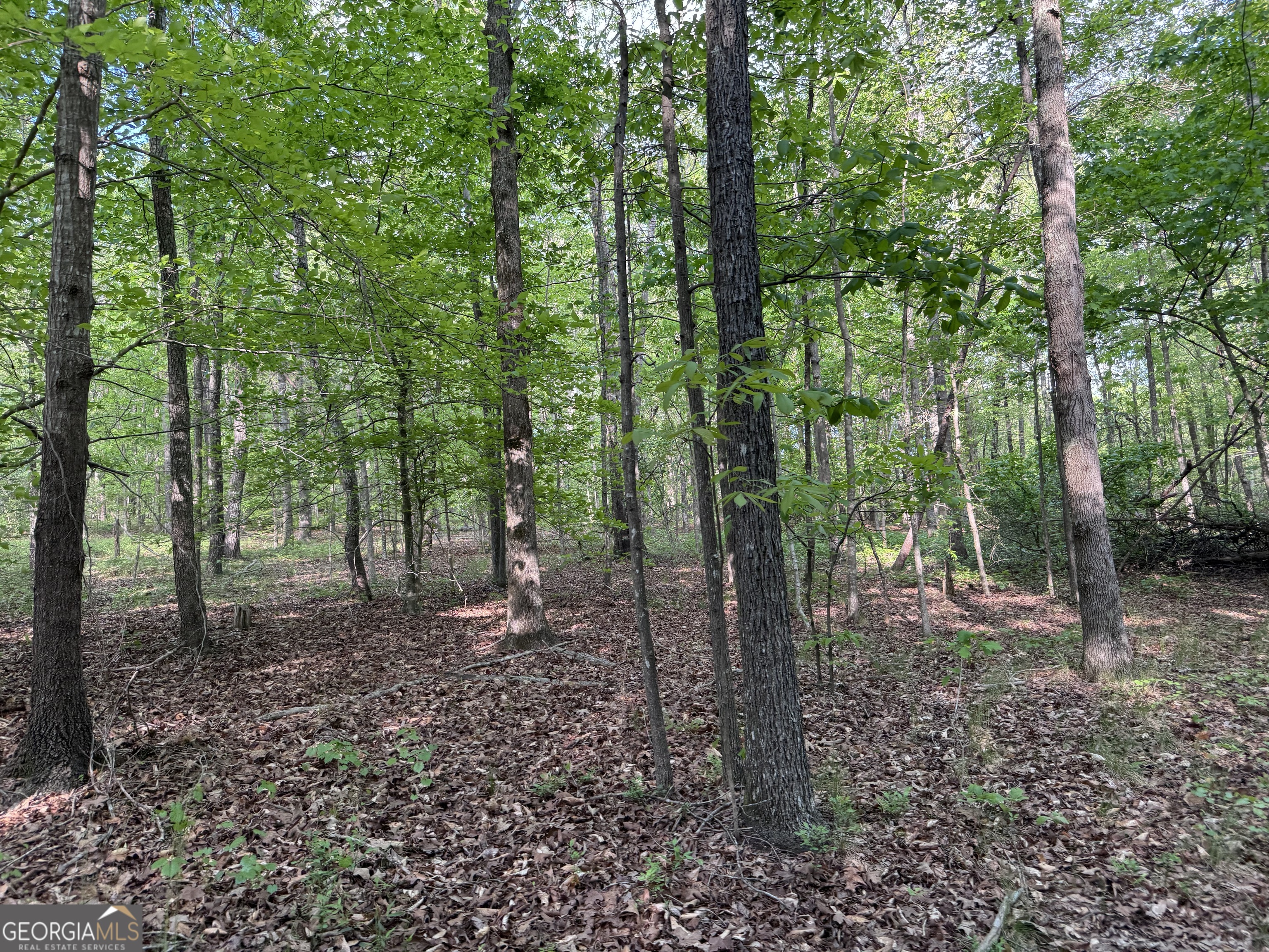 637 Brookdale Road Toccoa, GA 30577 - Photo 10 of 10