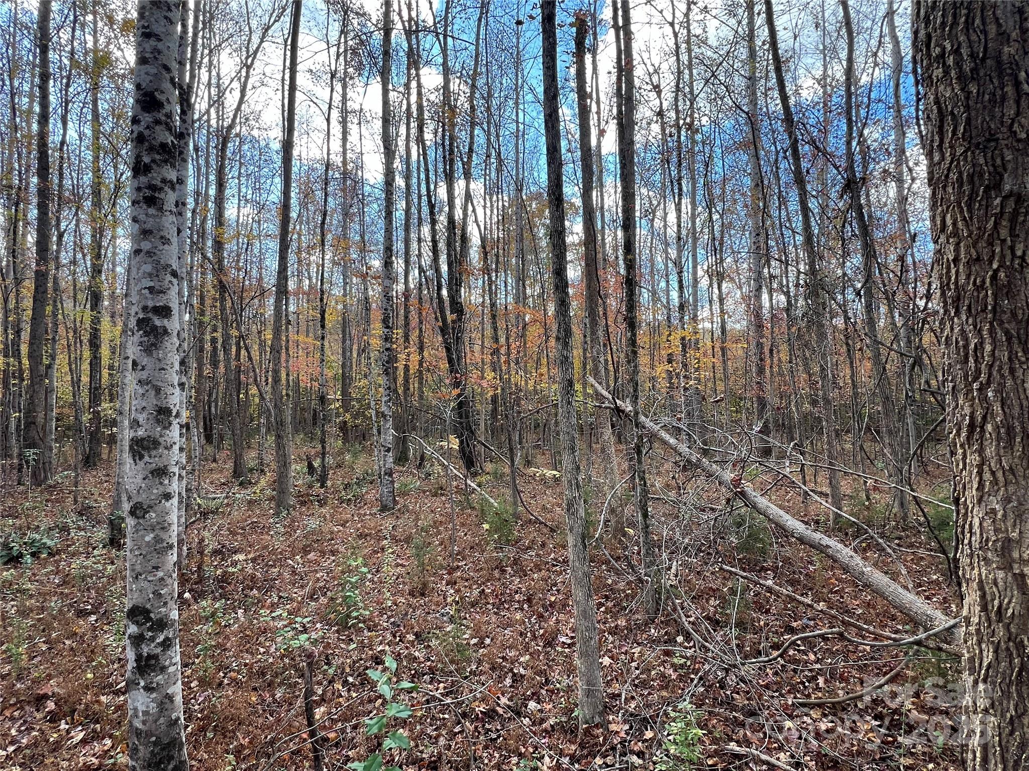 175 Chappel Lane Alexis, NC 28006 - Photo 11 of 36