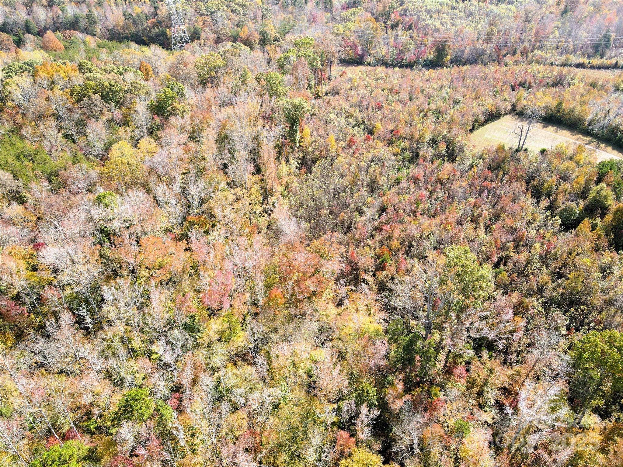 175 Chappel Lane Alexis, NC 28006 - Photo 14 of 36