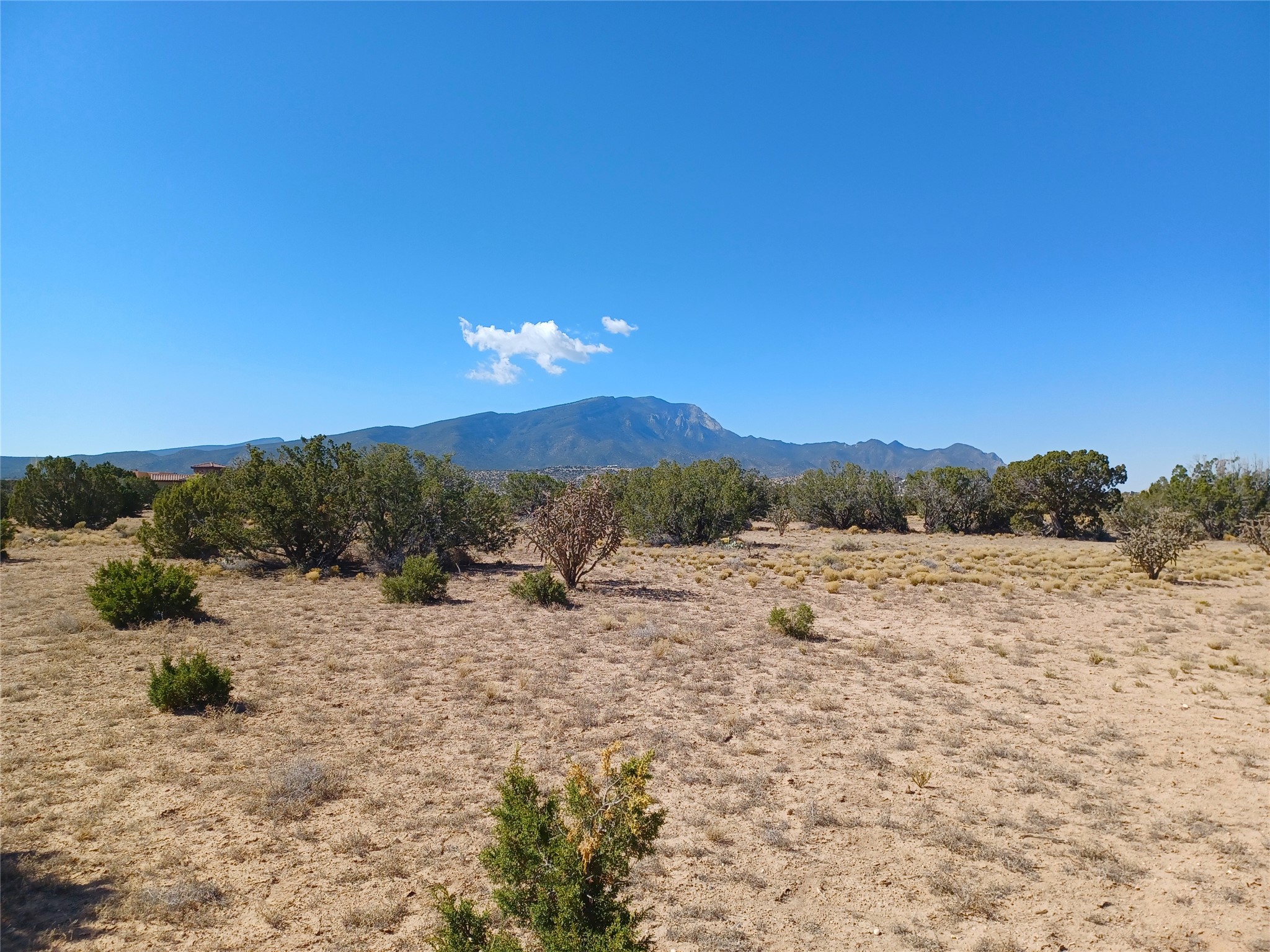 Tbd Lot 26 Tbd Road Placitas, NM 87043 - Photo 1 of 14