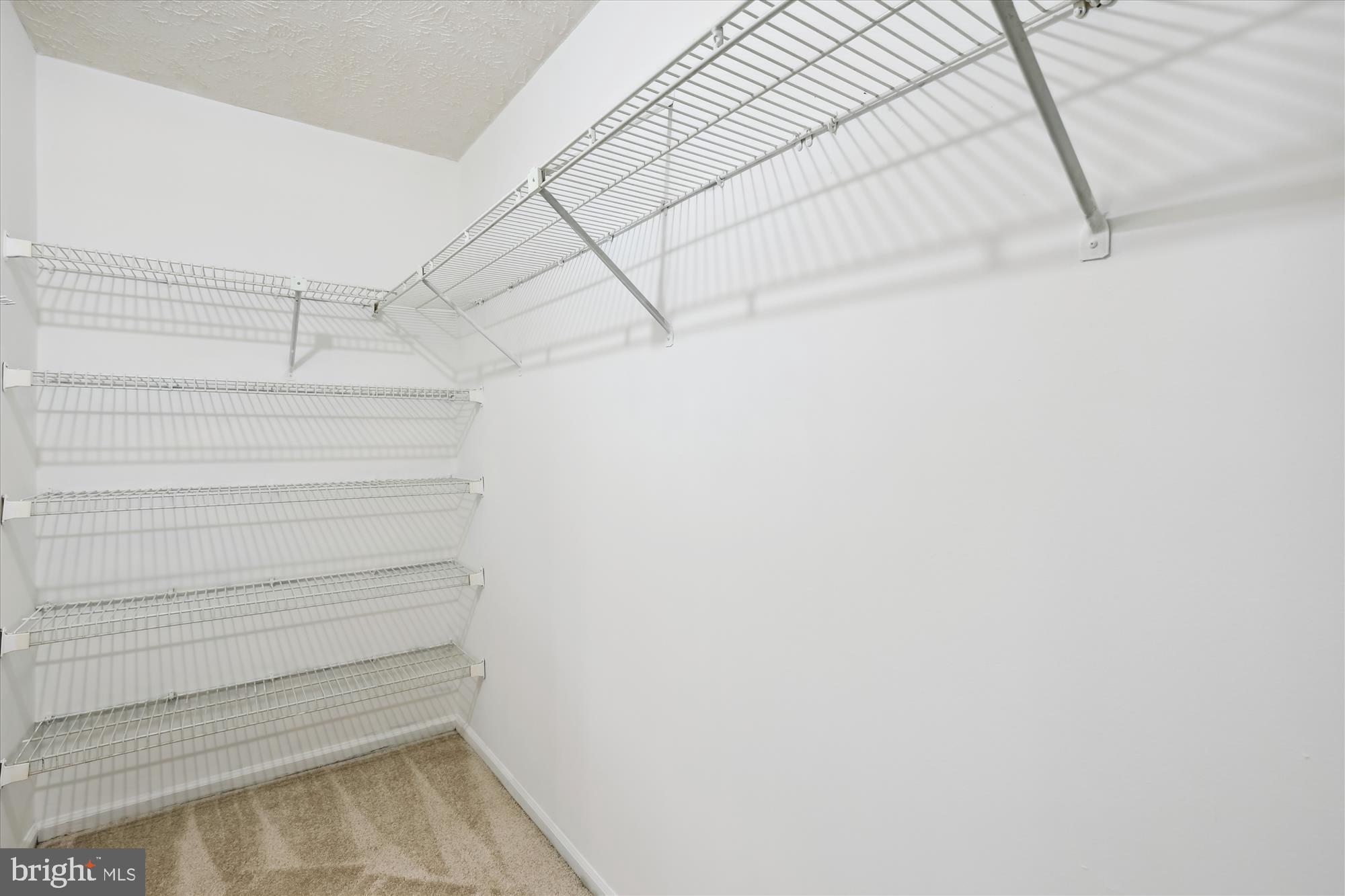 4598 Rincon Place Dumfries, VA 22025 - Photo 22 of 41 Large walk in closet