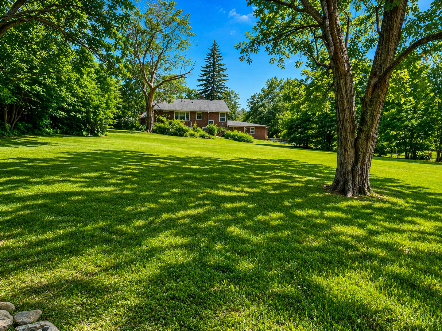22W130 Irving Park Road Medinah, IL 60157 - Photo 2 of 5 a view of a trees with a big yard