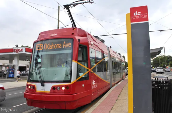 a outdoor space with lots of palm trees