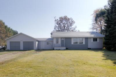 19831 South River Road Three Rivers, MI 49093 - Photo 1 of 19 Primary Photo