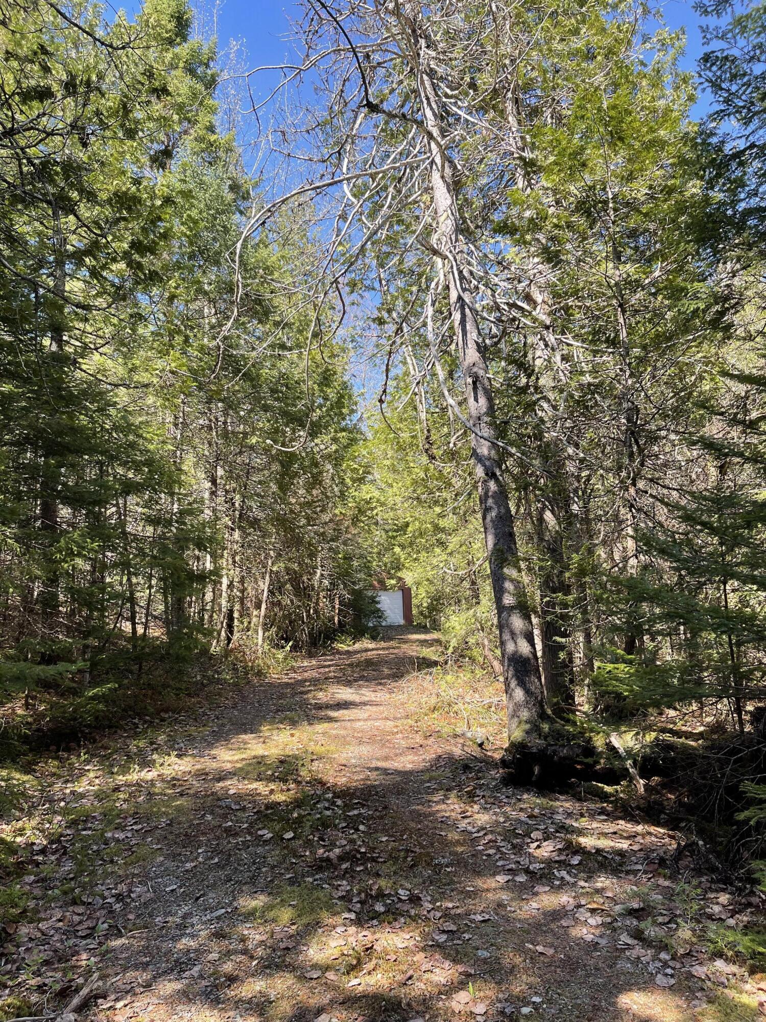 20 Chase Brook Drive Alexander, ME 04694 - Photo 33 of 61 IMG_7170