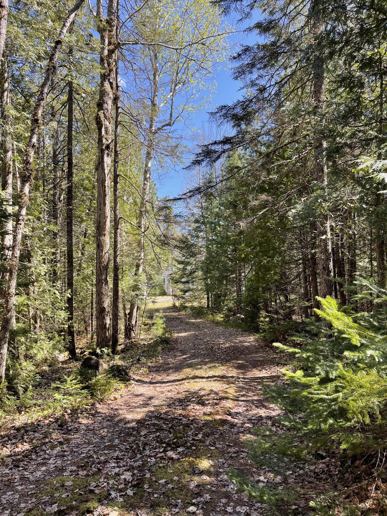 20 Chase Brook Drive Alexander, ME 04694 - Photo 36 of 61 IMG_7171