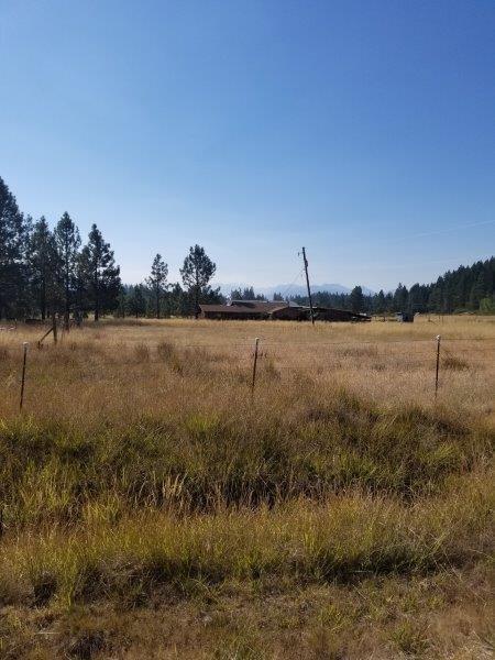245 Prottsman Way Cave Junction, OR 97523 - Photo 30 of 32 Additional Photo