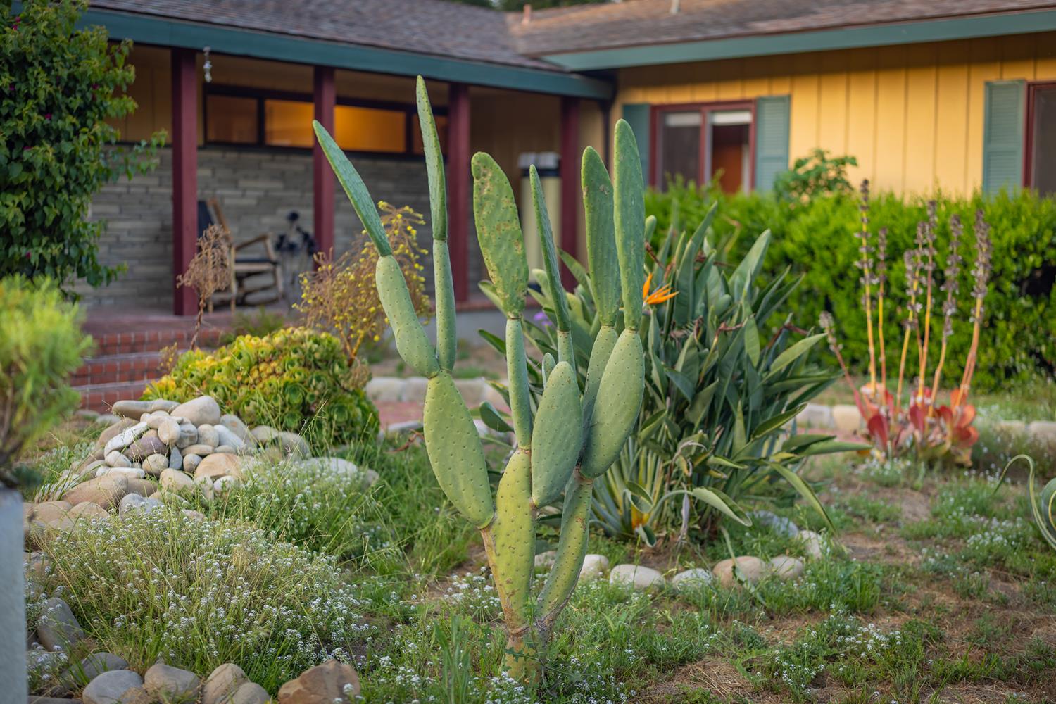918 El Toro Road Ojai, CA 93023 - Photo 21 of 40