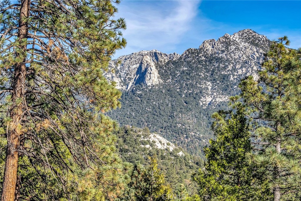 53580 Jeffery Pine Road Idyllwild, CA 92549 - Photo 56 of 61