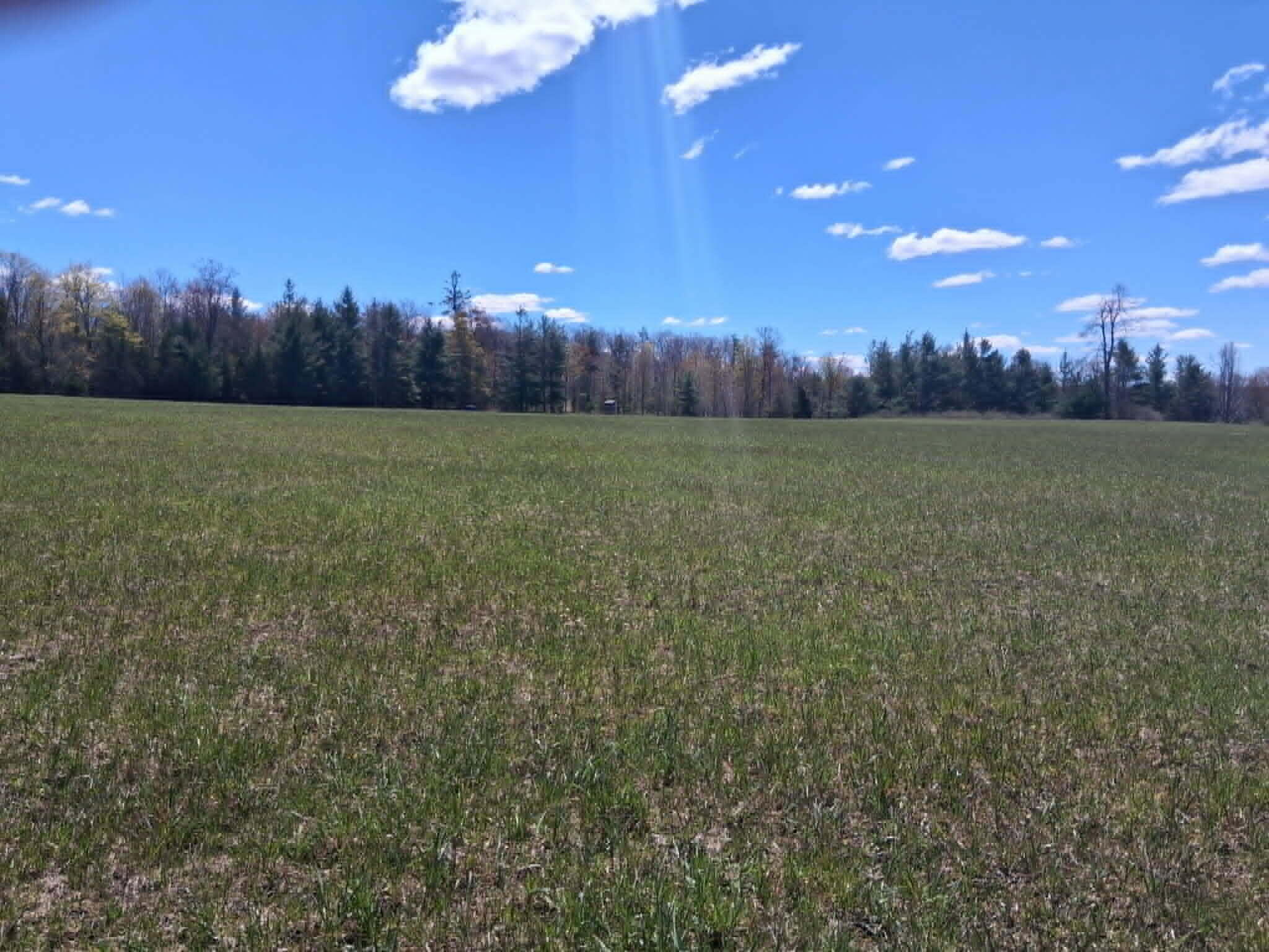 26.21-ac Crowell Road Curran, MI 48728 - Photo 3 of 12 pl21c