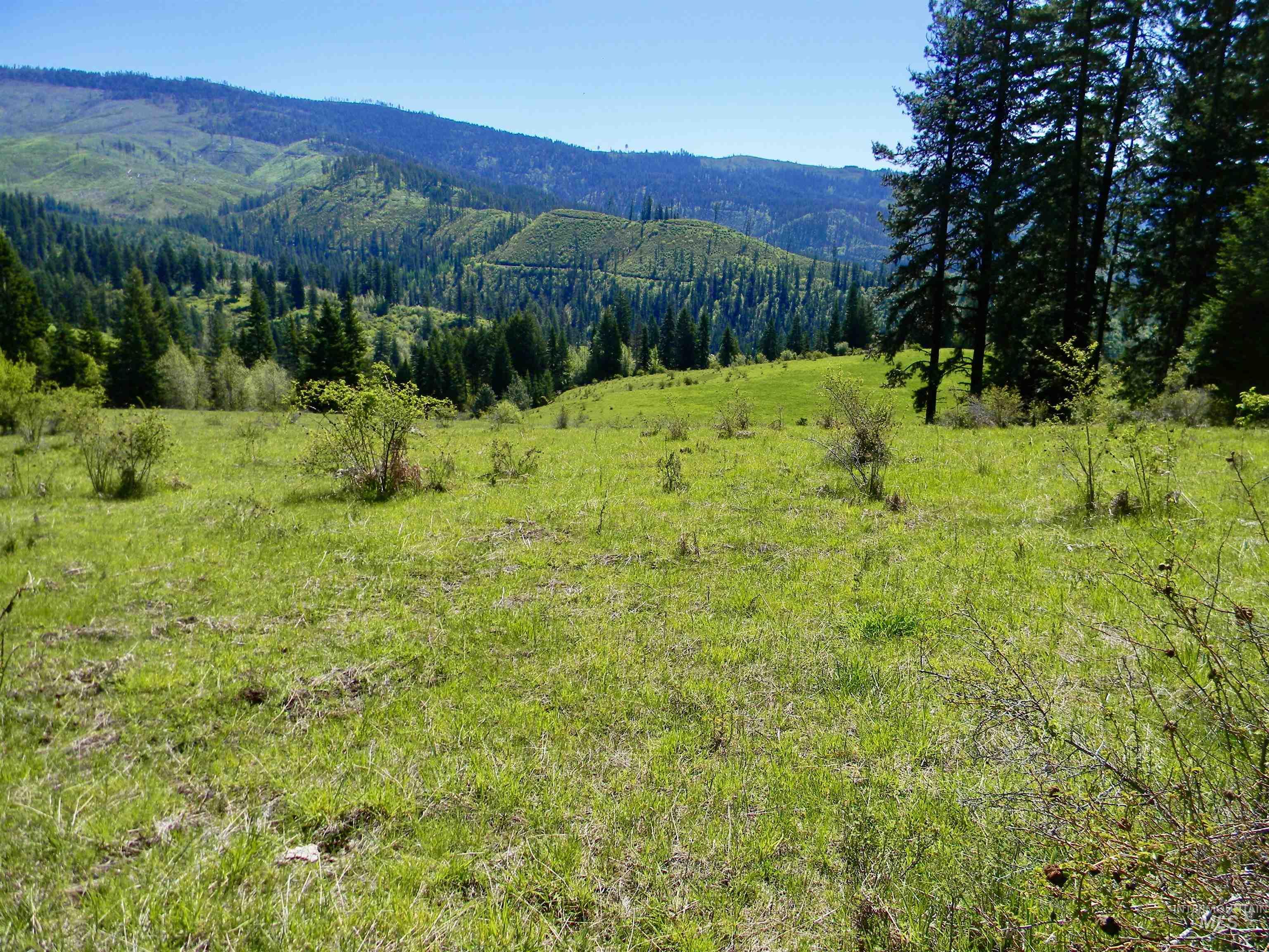 151 Ranta Road Kooskia, ID 83539 - Photo 7 of 33