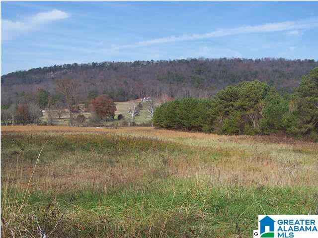 329 County Road 42, Unit 70 AC Oneonta, AL 35121 - Photo 3 of 5