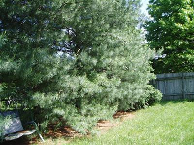 430 Marsailles Road Versailles, KY 40383 - Photo 13 of 13 Photo 13