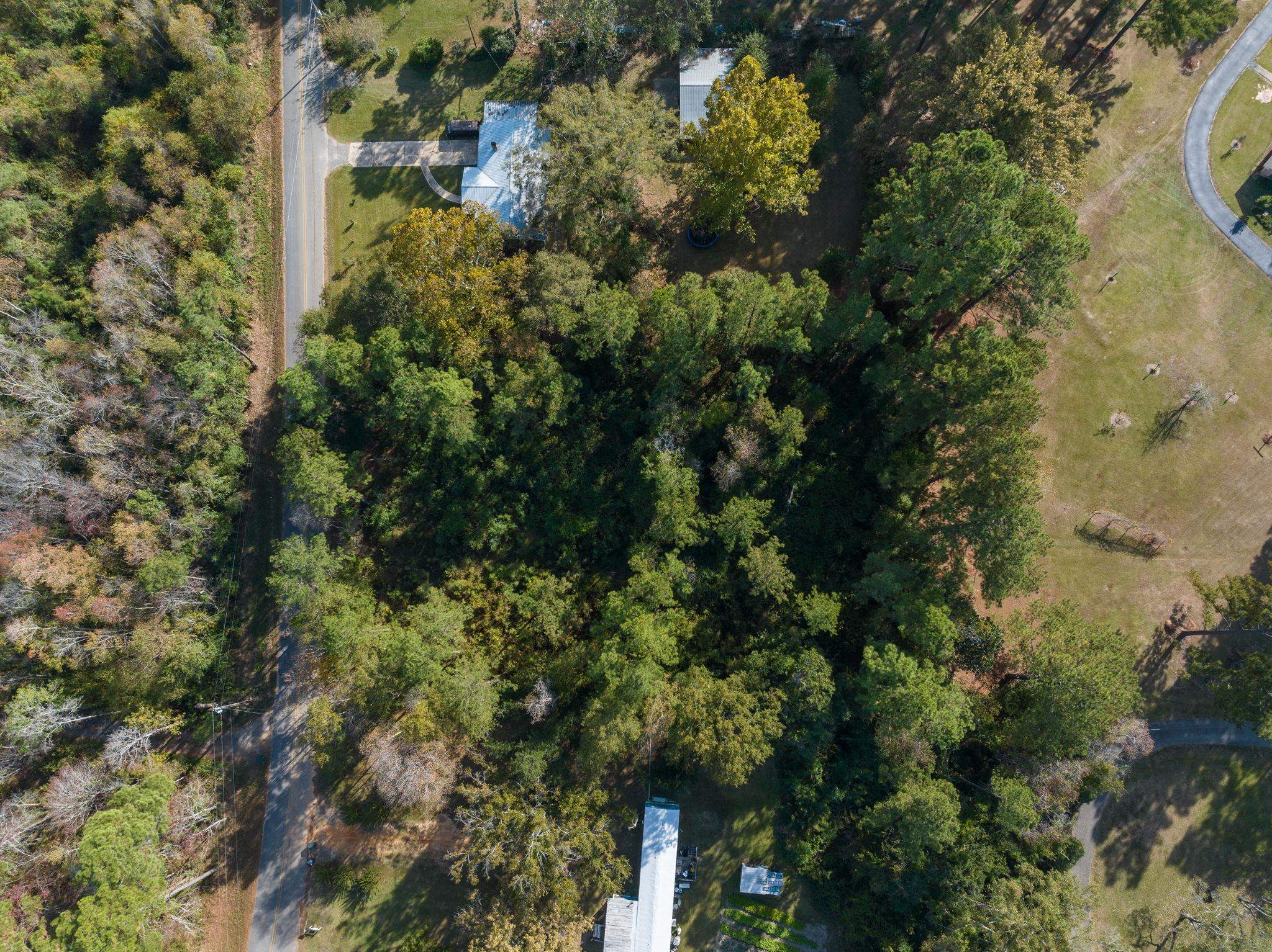 35741 Pine Road North Stapleton, AL 36578 - Photo 5 of 11