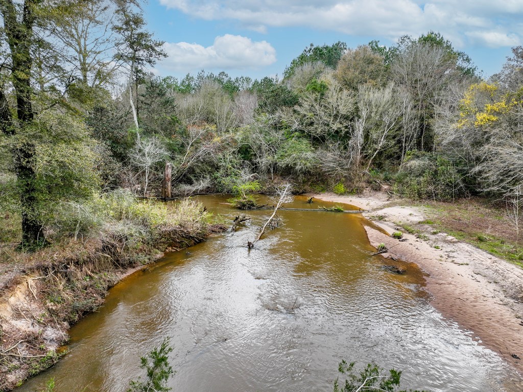 0 Double Creek Road Coffee Springs, AL 36318 - Photo 11 of 24