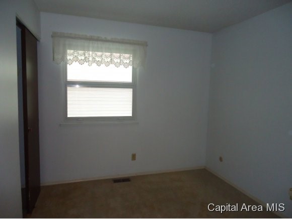 237 North Durkin Drive Springfield, IL 62702 - Photo 13 of 17 Gallery Image 13