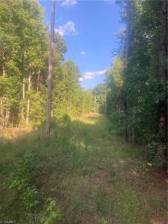 0 Graham Davis Road Denton, NC 27239 - Photo 2 of 22 Gallery Image 2