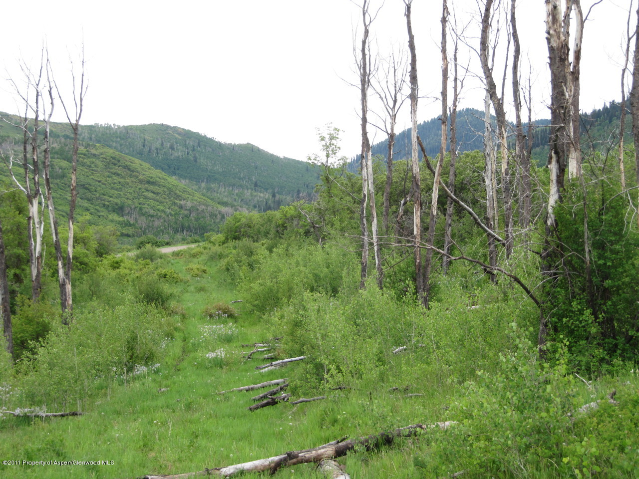 Lot 7 Beaver Creek Rifle, CO 81650 - Photo 8 of 15 8