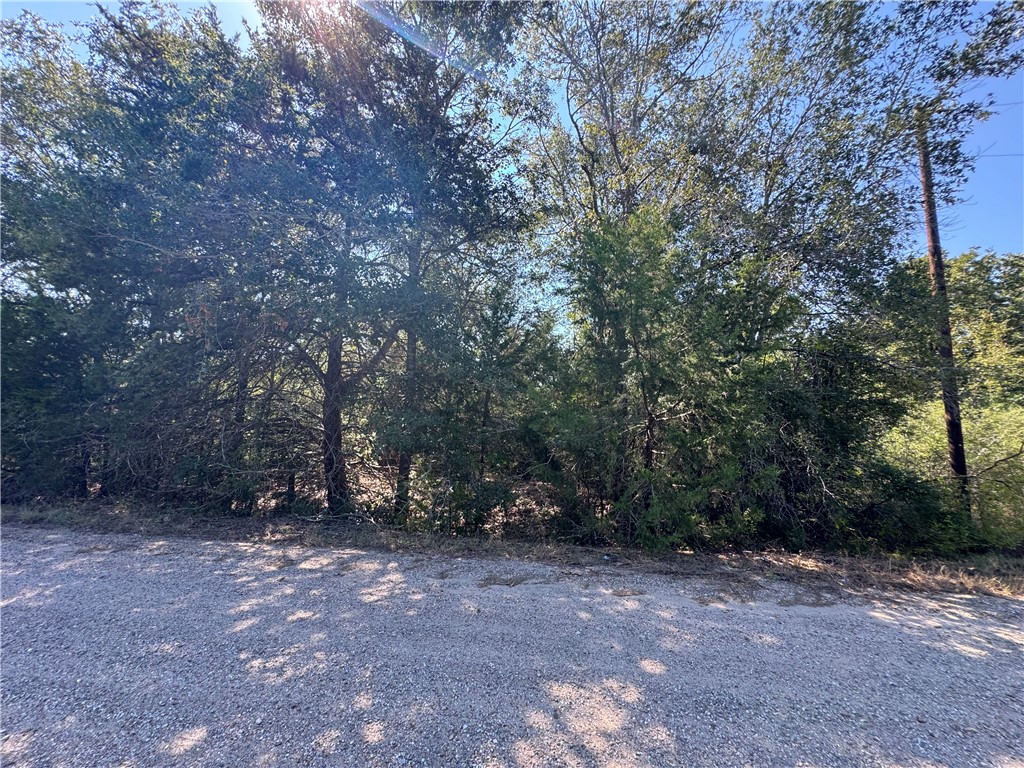 3 South Berry Ridge Caldwell, TX 77836 - Photo 13 of 19