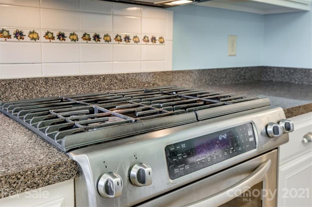 704 Beechnut Court Fort Mill, SC 29708 - Photo 17 of 46 a close view of a stove top oven