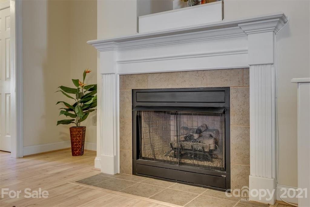 704 Beechnut Court Fort Mill, SC 29708 - Photo 10 of 46 a living room with a fireplace and a potted plant