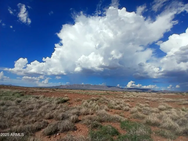 a view of a large building in the background