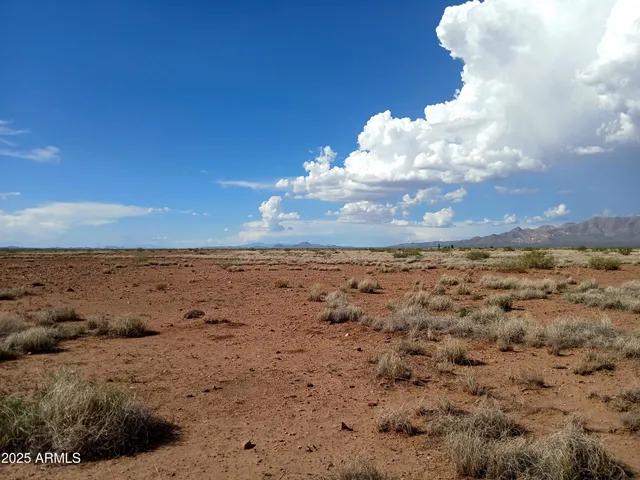 a view of yard and mountain