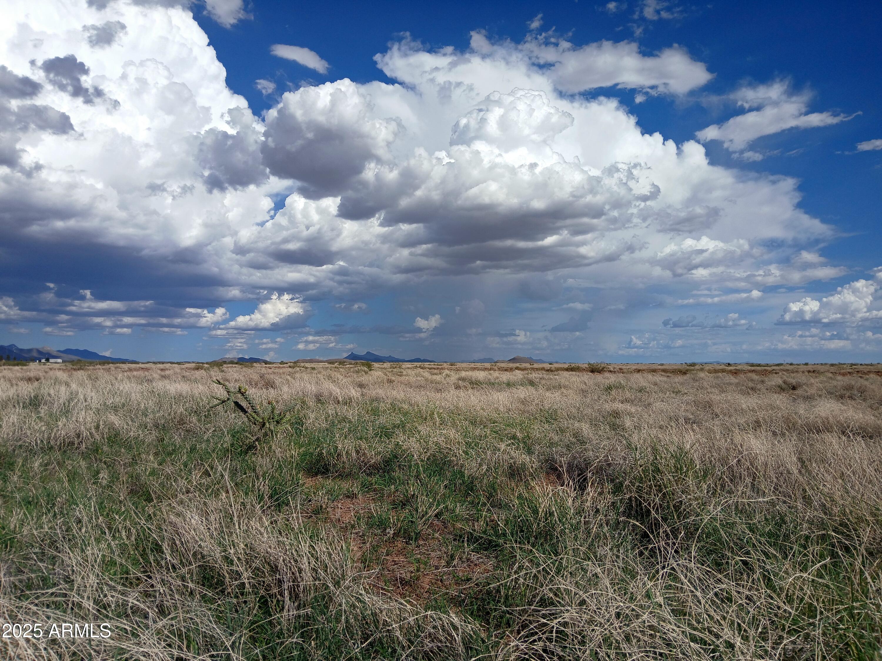 Tbd North Ee Ranch Road, Unit 1/2 McNeal, AZ 85617 - Photo 9 of 11 a view of yard and mountain