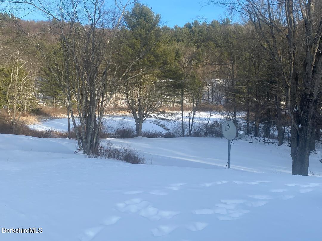 138 Upper Valley Road Washington, MA 01223 - Photo 3 of 7 138 Upper Valley Back Yard