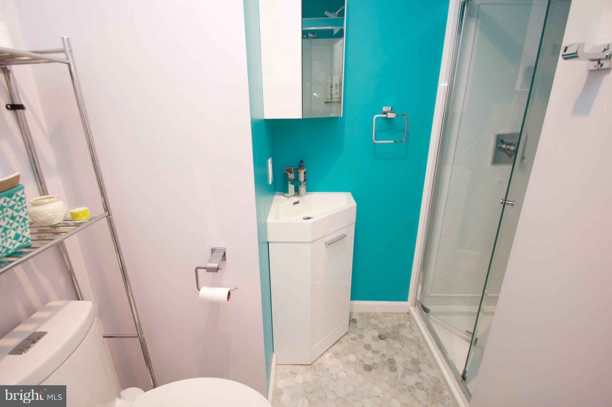 2415 Spencer Road Silver Spring, MD 20910 - Photo 14 of 22 Bath (Fully Renovated)
