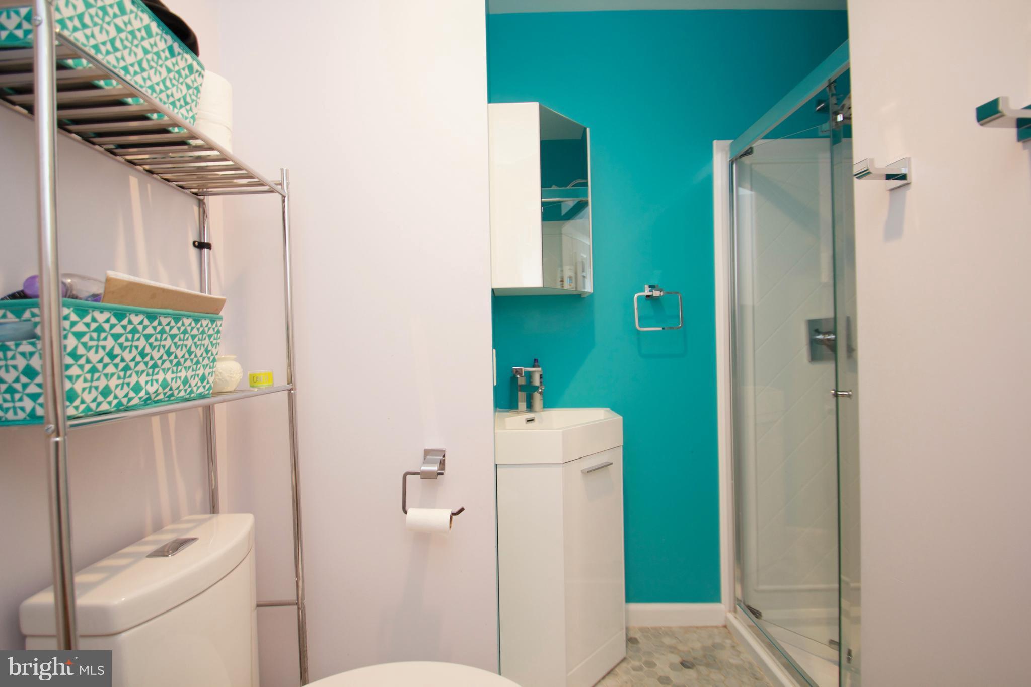2415 Spencer Road Silver Spring, MD 20910 - Photo 15 of 22 Bath (Fully Renovated)