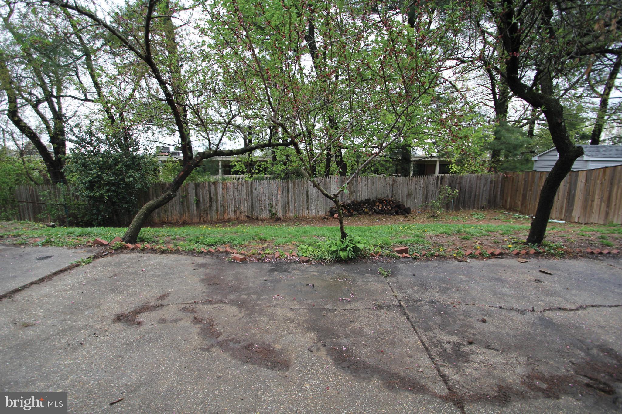 2415 Spencer Road Silver Spring, MD 20910 - Photo 22 of 22 Fenced-in Backyard