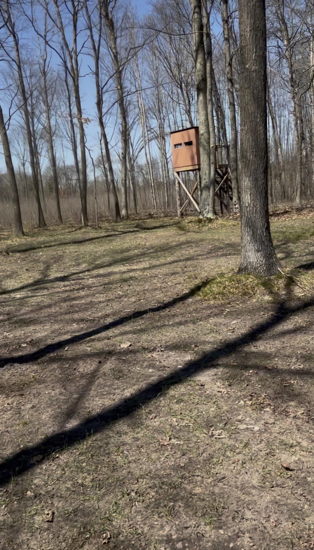 491 East Big Stone Lake Road Lake, MI 48632 - Photo 28 of 31