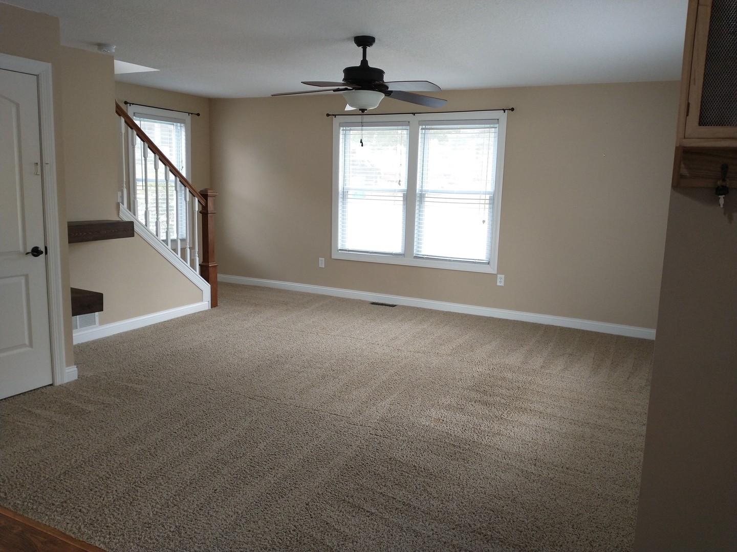 117 4th Street Walnut, IL 61376 - Photo 8 of 21