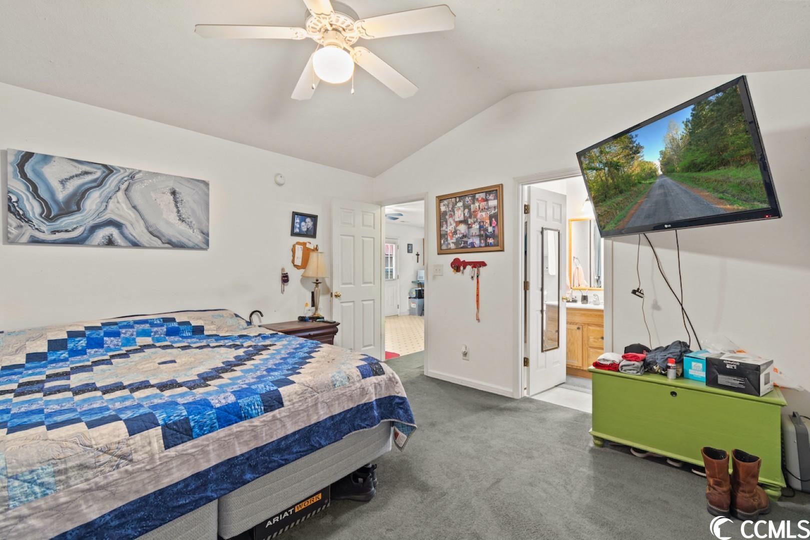 378 Sean River Road Conway, SC 29526 - Photo 14 of 28 Gallery Image 14