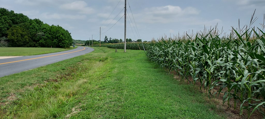 Lot 7 Bradfords Neck Road, Unit 7 Melfa, VA 23410 - Photo 3 of 5