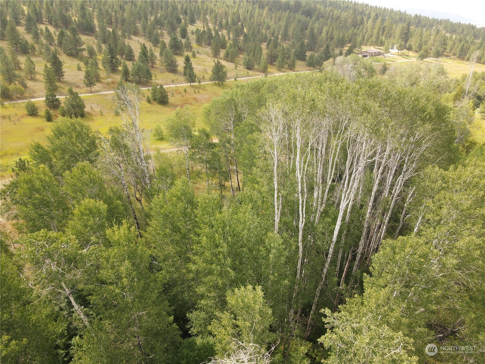 -tbd Highvalley Road East Tonasket, WA 98855 - Photo 9 of 15 Gallery Image 9