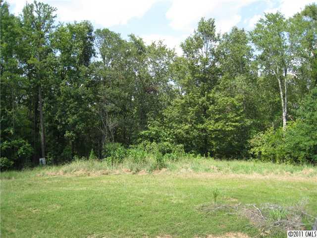 4130 Wycoff Road Sharon, SC 29742 - Photo 11 of 11 a view of outdoor space and yard